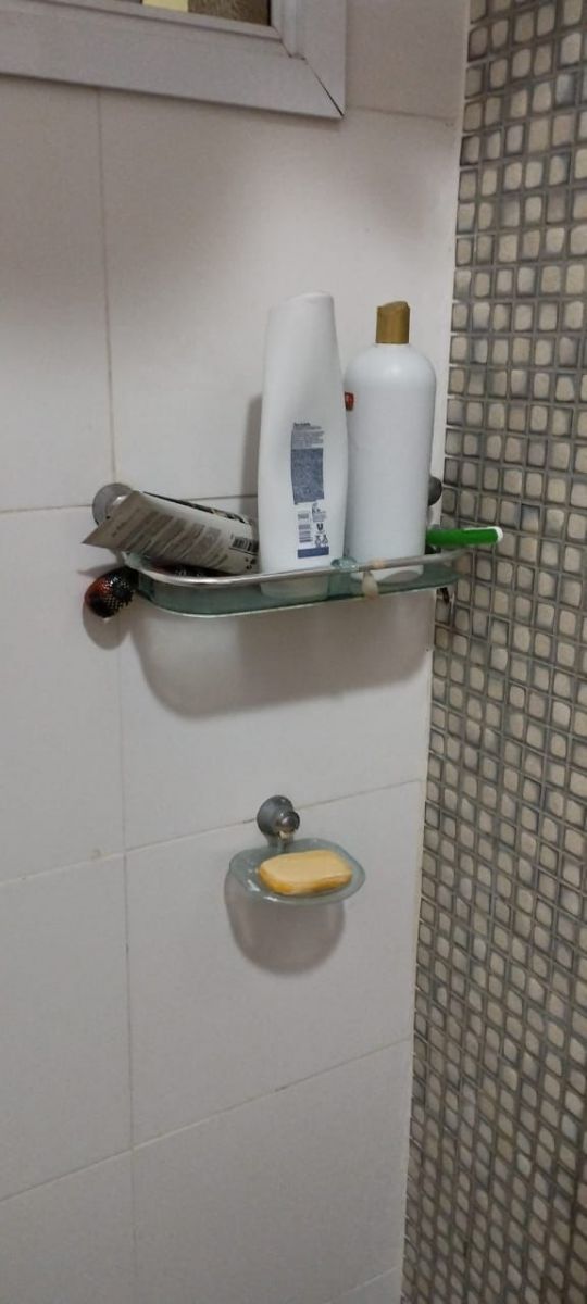 Animal estava escondido atrás do porta-shampoo I Foto: Corpo de Bombeiros/Divulgação