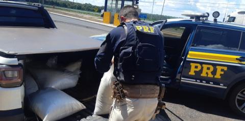PRF de Uberlândia apreende carga de agrotóxicos contrabandeados avaliada em R$ 500 mil 