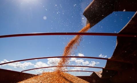Produção de grãos deve chegar a 268,3 milhões de toneladas, diz Conab