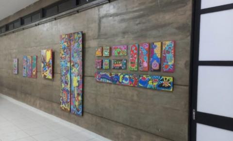 Galeria de Arte Iolanda de Lima Freitas recebe exposição da artista Dani Lima