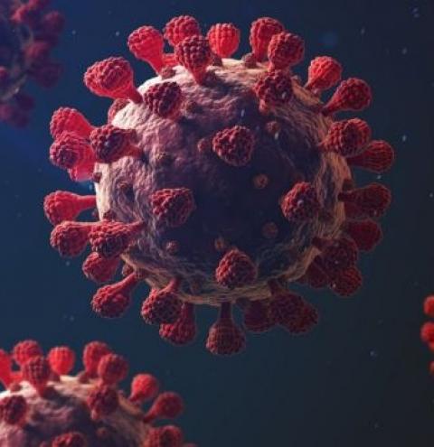 Fiocruz alerta para novas variantes do vírus da covid-19